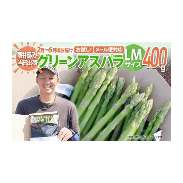 容量アスパラガス LM 400g【2月〜6月お届け】消費期限出荷日+7日一度に食べきれない時はアスパラガスをラップに包み、冷蔵庫に立てて保存します。また、かために茹でたものをラップに包んで冷凍保存することもできます。発送期日2026年2月〜...
