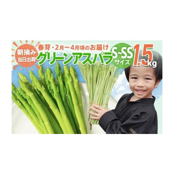 容量アスパラガス 春芽 S〜SSサイズ 1.5kg【2月〜4月お届け】消費期限出荷日+7日一度に食べきれない時はアスパラガスをラップに包み、冷蔵庫に立てて保存します。また、かために茹でたものをラップに包んで冷凍保存することもできます。発送期...