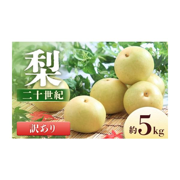 容量＜2026年に発送する予約注文分です＞内容量：約5kg(8〜16玉)※大きさで玉数は異なります。消費期限到着後、お早めにお召し上がりください。発送期日2026年9月上旬〜9月中旬発送予定※その年の気候により配送時期に変動がある可能性がご...