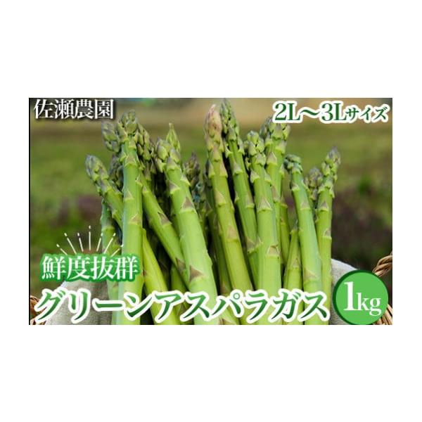 容量1kg（2L~3L)発送期日2026年4月中旬〜5月中旬頃に順次発送予定配送冷蔵 別送申込期日〜2026年5月7日事業者佐瀬農園申込条件何度も申し込み可