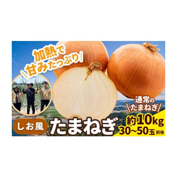 容量約10kg(30〜50玉前後)消費期限お早めにお召し上がりください。発送期日6月上旬-6月末頃より出荷予定(土日祝除く)配送常温 時間指定 別送申込期日6月中旬頃まで事業者-申込条件何度も申し込み可