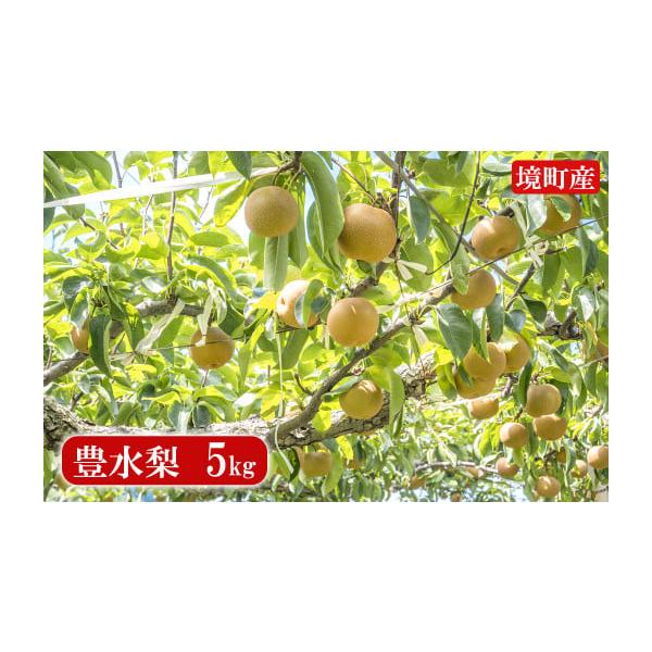 容量加藤果樹園の豊水梨5kg(10〜16個)※梨の大きさによって個数は変動いたします。予めご了承ください。消費期限ご到着後、冷蔵庫の野菜室で保管し４〜５日程度でお召し上がりください。発送期日こちらの返礼品は<先行受付>になります...