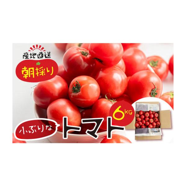 容量小ぶりなトマト　6kgサイズおまかせ・不揃い簡易梱包にてお届けします発送期日令和8年産・〜2025年12月10日以前のお申込みの方2025年11月〜2026年6月内で順次お届けとなりますので、お申込みからお時間経ってからのお届けされる場...