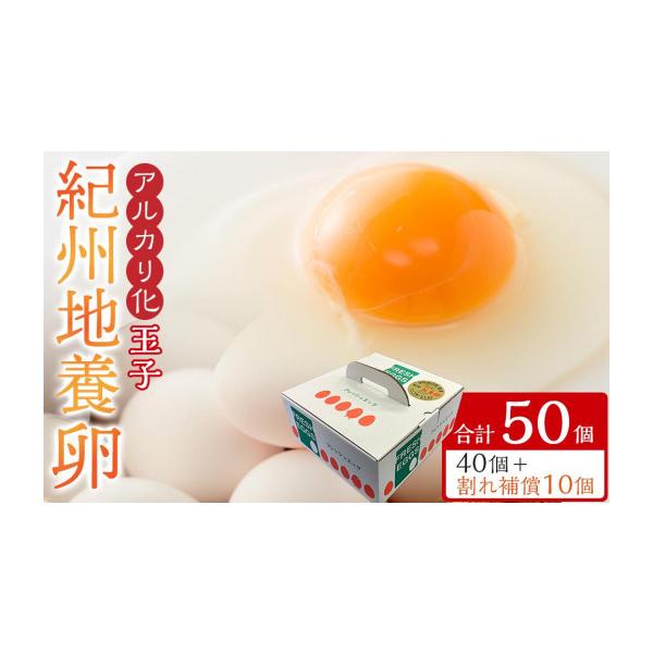 ふるさと納税 卵（鶏、烏骨鶏等） 和歌山県 九度山町 アルカリ化 玉子 紀州地養卵 合計 50個入 (40個＋割れ補償分10個）卵 たまご 玉子 タマゴ 鶏卵 まとめ買…