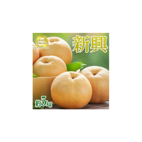 容量約5kg (7〜14玉サイズ) 発送期日14日以内に発送いたします配送冷蔵 別送申込期日〜2025年12月31日事業者マルベリーくだもの本舗申込条件何度も申し込み可