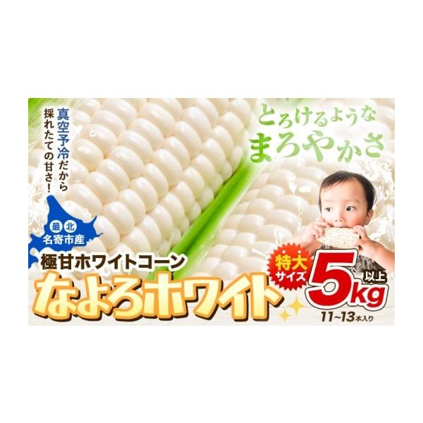 容量5kg（11本〜13本）発送期日8月上旬- 9月中旬頃出荷予定配送冷蔵 別送申込期日2025年9月3日から受け付けております。事業者株式会社ローカル申込条件何度も申し込み可
