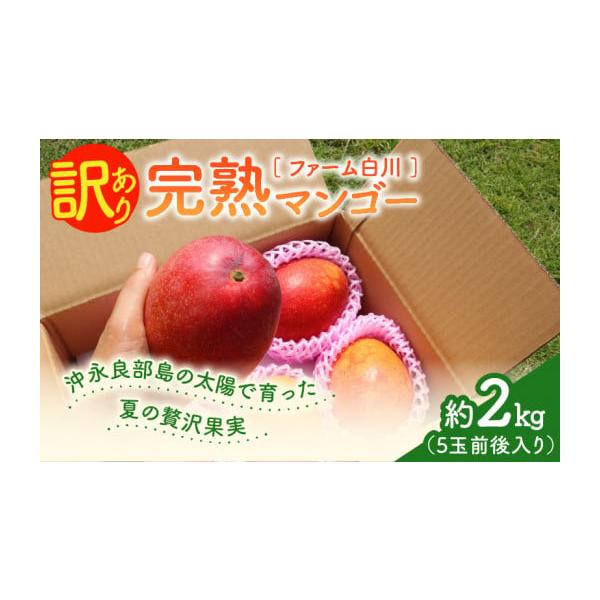 容量訳あり完熟マンゴー 約2kg【保存方法】冷蔵庫に保管しお早めにお召し上がりください。【原材料産地】沖永良部島消費期限冷蔵で約1週間程度（届いたらすぐ食べられます）※到着後は冷蔵庫に保管しお早めにお召し上がりください。発送期日2026年7...