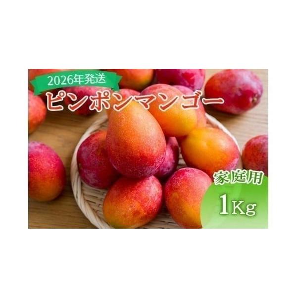 容量マンゴー1ｋｇ（1個当たり約30ｇ〜110ｇほどのマンゴーがの約15個〜25個ほど）消費期限到着日より３日間程度 、農園から直送致します。  果実がやわらかくなり、香りが出てきたら食べ頃です。 発送期日2026年6月中旬頃より発送します...