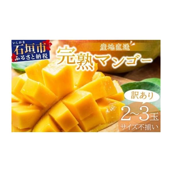 容量【訳あり】サイズ不揃いマンゴー　約1kg：2〜3玉消費期限お早めにお召し上りください。発送期日ご入金確認後、2026年7月上旬から発送いたします。配送冷蔵 時間指定 別送事業者コッパリ申込条件何度も申し込み可