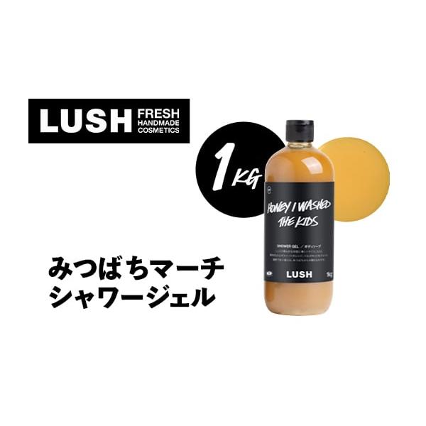 ふるさと納税 石鹸 液体せっけん 神奈川県 愛川町 LUSH ラッシュ