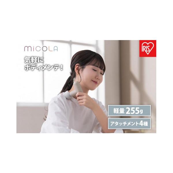 ふるさと納税 美容・健康家電 宮城県 角田市 ハンディガン