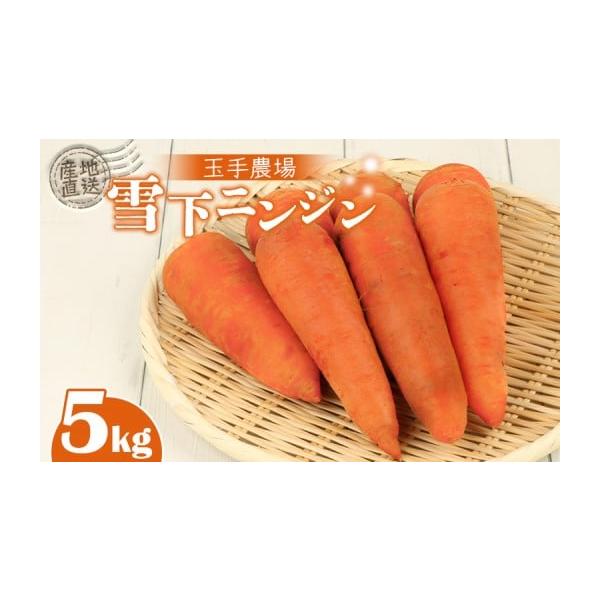 容量品種：オランジェまたはらいむサイズ:M〜２L数量：５ｋｇ消費期限賞味期限：チルド　7日程度発送期日3月10日〜4月1日に発送いたします。配送冷蔵 時間指定 別送申込期日2026年3月10日まで受付いたします。事業者株式会社玉手農場申込条...