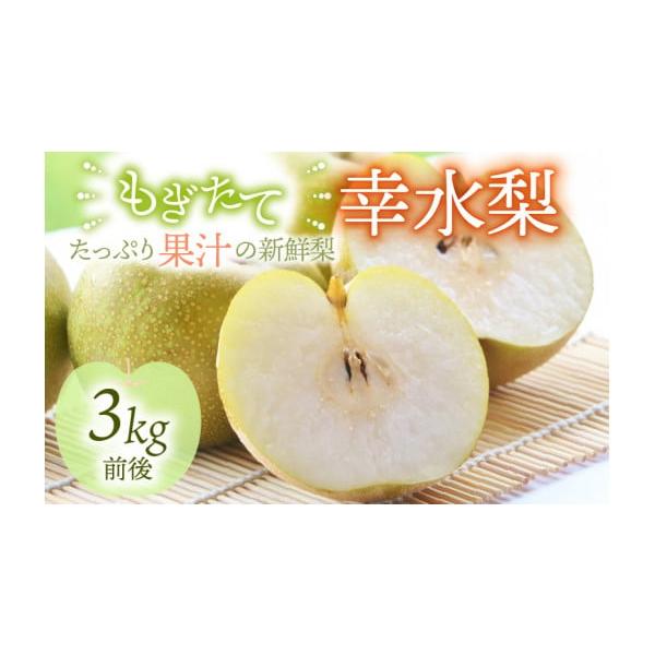 容量幸水梨：3kg前後（5~8個）消費期限到着日より7日以内 (冷蔵保存時)発送期日【先行予約・2026年8月中旬以降順次発送予定】※長期ご不在の場合、お申し込み時【備考欄】に「不在期間〇〇／〇〇〜〇〇／〇〇」とご記入ください。尚、長期ご不...