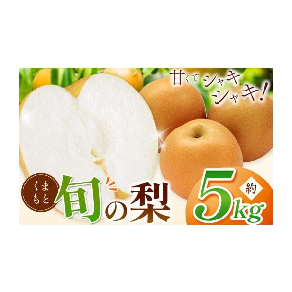 容量梨 約5kg消費期限発送から7日前後でお召し上がりください。発送期日2026年8月中旬から10月頃に発送予定です。※収穫状況により配送時期が前後する場合がございますこと、予めご了承ください。配送冷蔵 時間指定 別送申込期日2026年9月...