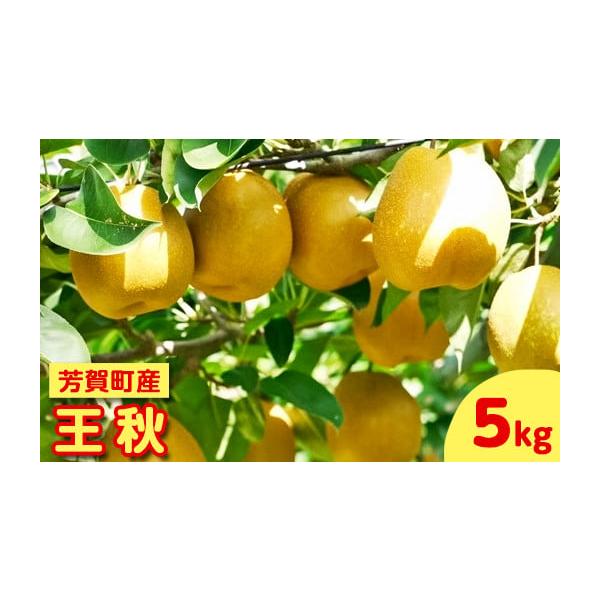 容量約5kg発送期日2026年10月中旬〜11月上旬頃配送常温 別送申込期日〜2026年10月25日事業者手塚農園申込条件何度も申し込み可