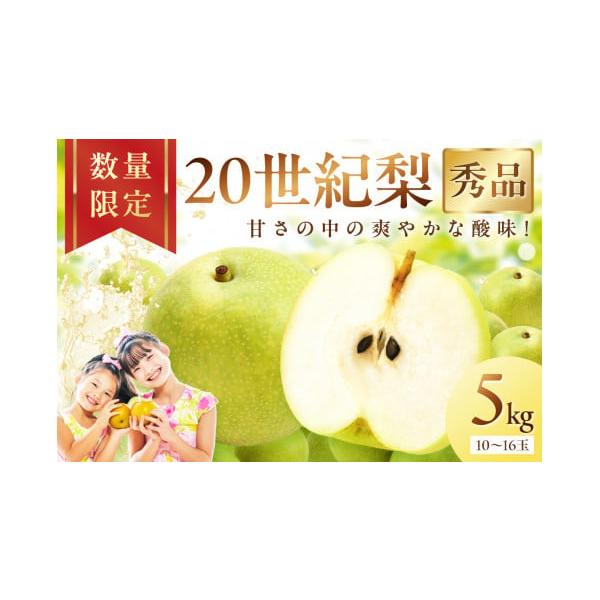 容量5kg（10〜16玉）消費期限【賞味期限】出荷日から8日間【保存方法】冷蔵発送期日【配送可能期間】2026年8月下旬〜9月下旬※天候の状況などにより出荷期間が前後することがあります。【 配送不可地域】北海道、沖縄、一部離島配送冷蔵 時間...