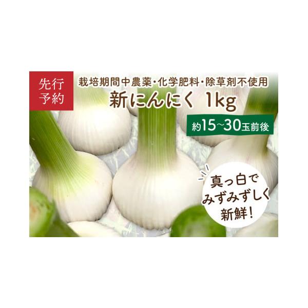 容量1kg（15玉〜30玉前後）消費期限【賞味期限】冷蔵庫で10日【保存方法】冷蔵庫に保存お早目にお召し上がりください。皮をむいて冷凍庫に保存可能。発送期日【配送可能期間】2026年6月上旬〜7月下旬配送冷蔵 時間指定 別送申込期日期間限定...