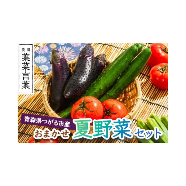 容量■名称：おまかせ夏野菜セット■内容量：合計で約1kg消費期限消費期限：発送日より冷蔵保存で5日間以内発送期日令和8年8月上旬から9月上旬まで順次発送※天候や収穫状況によって発送期間が変更になる場合がございます。※離島への発送はできません...
