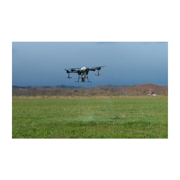 furusatochoice_6197016