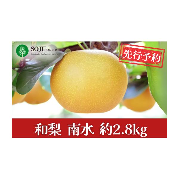 容量5~9個（合計約2.8kg）※生育状況により、個数が前後する場合がございます。消費期限発送日から1週間程度発送期日9月下旬〜10月下旬頃※天候や生育状況により、発送開始・終了時期が前後する場合がございます。※お申込み順に発送いたしますの...