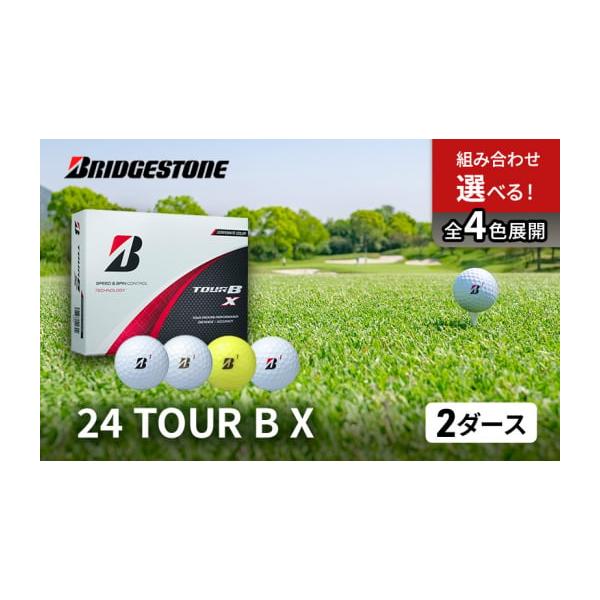 ふるさと納税 雑貨・日用品 千葉県 市原市 ゴルフ 24 TOUR B X 2ダース