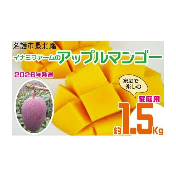容量アップルマンゴー　約1.5kg（3〜4玉）家庭用・白箱色付が3割以下表皮に多少の傷ありアレルギー：ウルシ科消費期限青果物なので到着後はお早めにお召し上がり下さい。発送期日2026年7月中旬〜8月中旬で順次発送予定配送冷蔵 別送申込期日2...