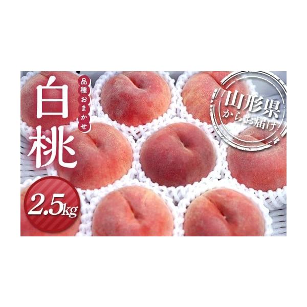 容量白桃 2.5kg（8個〜14個入り）消費期限出荷から5日以内発送期日2026年7月下旬頃〜8月下旬頃に順次発送配送冷蔵 時間指定 別送申込期日2026年7月20日まで事業者NJ山形申込条件何度も申し込み可、オンライン決済限定