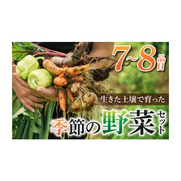 容量季節の野菜７〜８品目※野菜の大きさによって異なりますが、通常80〜100サイズの梱包箱にて送付いたします。消費期限葉もの類は1週間以内、根菜類は2週間〜3週間以内。※お受け取り後はすぐに開封し、冷蔵（5〜10℃）で保存してください。発送...