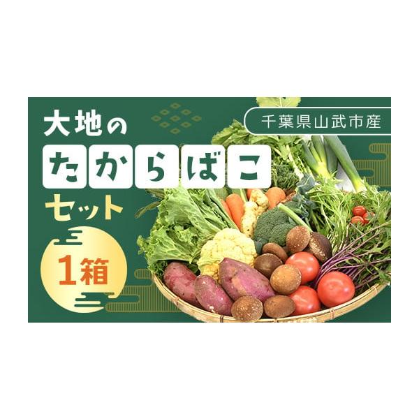 容量野菜詰合せ×1箱（例）ねぎ、トマト、ピーマン、にんじん、大根、かぶ、ズッキーニ、エシャレット、トウモロコシ　など※季節により商品が異なります。到着後、早めにお召し上がりください。発送期日入金確認後準備でき次第順次発送【配送不可地域】離島...
