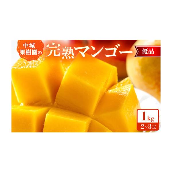 容量■お礼品の内容について・完熟マンゴー 優品[1.0kg(2〜3玉)]原産地:沖縄県中城村消費期限■賞味期限:出荷日+5日※到着後、すぐにお礼品の状態をご確認のうえ、お早めにお召し上がりください。発送期日2026／07／01〜2026／0...