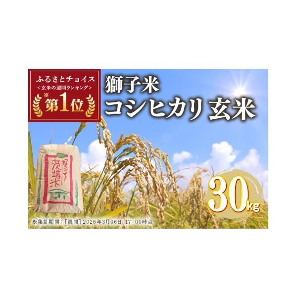 ふるさと納税 玄米 茨城県 石岡市 令和7年産 獅子米 コシヒカリ 30kg