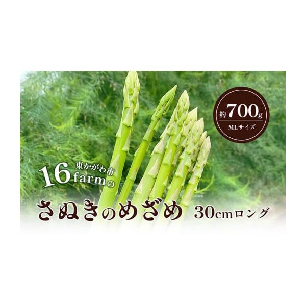 容量香川県産アスパラ「さぬきのめざめ」MLサイズ700g（30cm）消費期限生鮮食品の為、お早めにお召し上がりくださいませ。発送期日2026年2月1日〜2026年9月30日配送冷蔵 別送申込期日2026年9月10日まで事業者16farm申込...