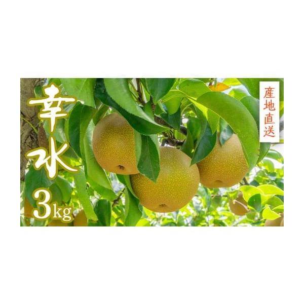 容量3kg（6〜9個入り）消費期限到着後1週間発送期日8月上旬より発送開始※天候や生育状況により時期が前後する場合がございます配送常温 別送申込期日2026年8月10日まで事業者菊池農園申込条件何度も申し込み可