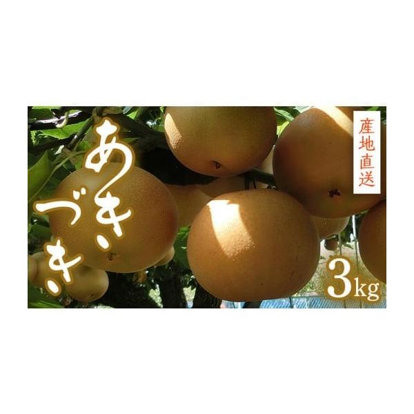 容量3kg（6〜9個入り）消費期限到着後1週間発送期日9月中旬より発送開始※天候や生育状況により時期が前後する場合がございます配送常温 別送申込期日2026年9月20日まで事業者菊池農園申込条件何度も申し込み可