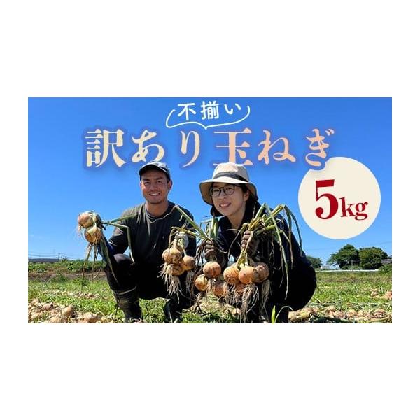 容量鏡石町産 玉ねぎ 5kg消費期限出荷後 約20日発送期日2026年7月下旬〜2026年11月末まで順次発送配送常温 時間指定 別送申込期日2026年11月10日まで事業者和田農園申込条件何度も申し込み可、オンライン決済限定