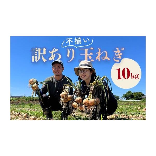 容量鏡石町産 玉ねぎ 10kg消費期限出荷後 約20日発送期日2026年7月下旬〜2026年11月末まで順次発送配送常温 時間指定 別送申込期日2026年11月10日まで事業者和田農園申込条件何度も申し込み可、オンライン決済限定
