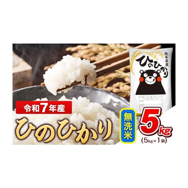 ふるさと納税 米 ヒノヒカリ 熊本県 玉東町 令和7年産 無洗米 ひの