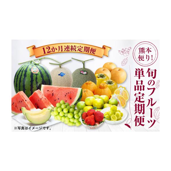 ふるさと納税 スイカ 熊本県 - 12か月連続定期便 熊本便り 旬のフルーツ 単品定期便 くだもの 果物 フルーツ 熊本県産 国産