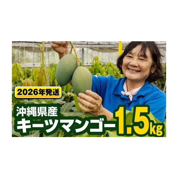 容量1.5kg（1玉〜3玉）※玉数・大きさは指定できません。消費期限注意：冷蔵庫にすぐ入れるのはお待ちください！商品到着後は追熟（一定期間常温で置き完熟させること）し、食べ頃になったら冷やしてお召し上がりください。※甘い香りが強くなると共に...