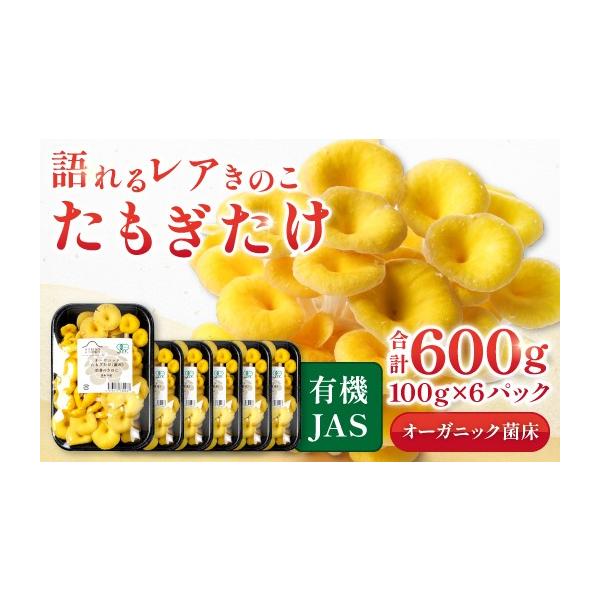 ふるさと納税 野菜類 きのこ 鳥取県 日吉津村 オーガニック菌床たも