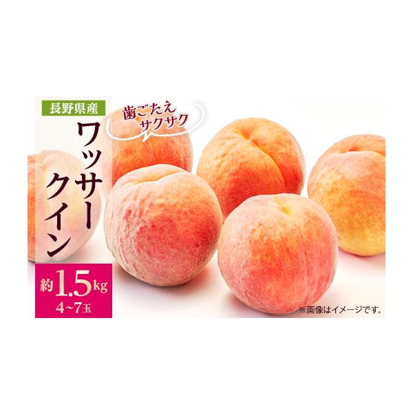 容量■お礼品の内容について・ワッサー[約1.5kg(4〜7玉)]原産地:長野県中野市消費期限■賞味期限:出荷日+5日※到着後、すぐにお礼品の状態をご確認のうえ、お早めにお召し上がりください。発送期日2026-07-20〜2026-08-31...