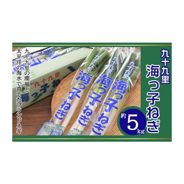 容量海っ子ねぎ約5kg消費期限到着後、お早目にお召し上がり下さい。発送期日発送：12月上旬〜3月中旬配送常温 別送申込期日2026年2月下旬まで事業者山武郡市農業共同組合申込条件何度も申し込み可