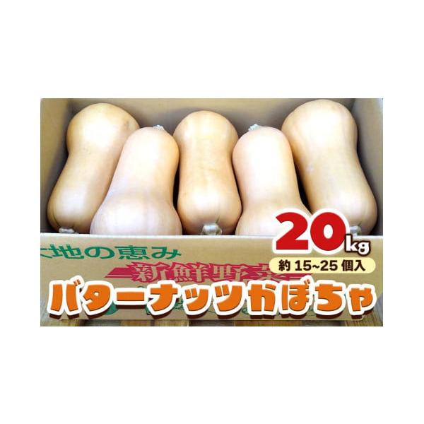 バターナッツかぼちゃ 2枚目