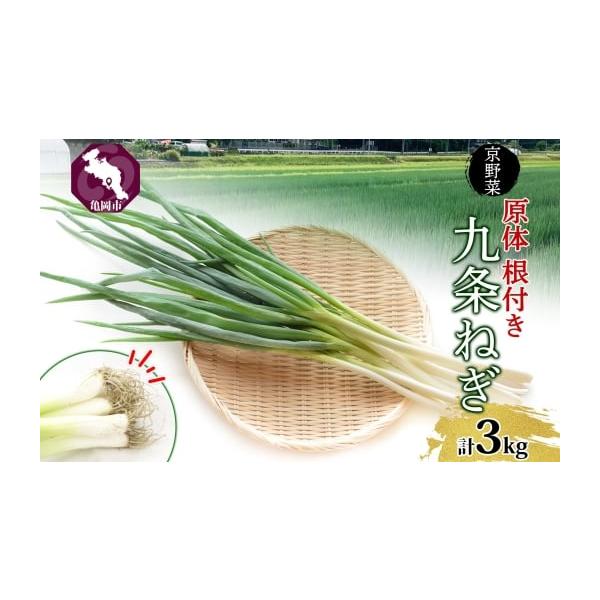 容量九条葱 3kg発送期日1ヶ月程度で発送予定配送冷蔵 別送申込期日通年事業者日本ふるさと創生株式会社申込条件何度も申し込み可