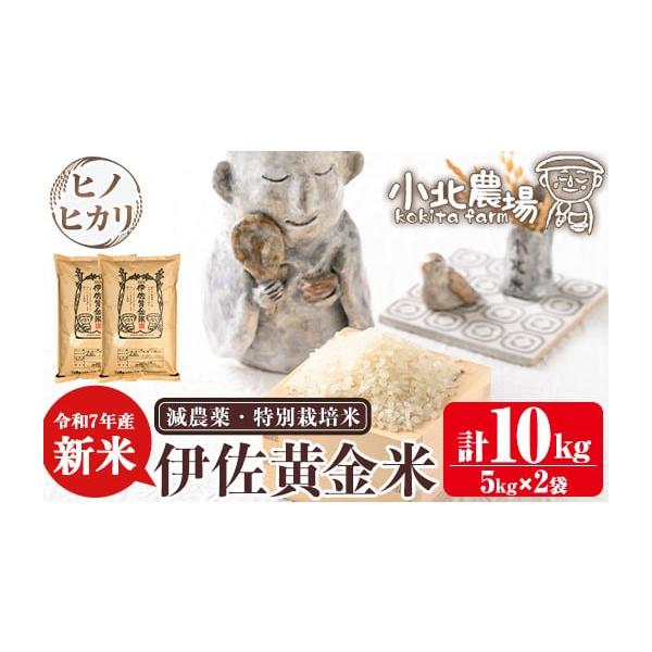 鹿児島県産　伊佐米　ヒノヒカリ　30キロ　農家直送 完売につき販売終了です】令和6年産 伊佐米ヒノヒカリ(鹿児島県