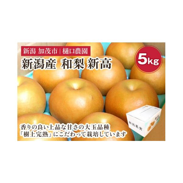 容量5kg玉数の目安：5〜9玉消費期限商品到着後、お早めにお召し上がりください。冷暗所で保存（暖かい部屋などは避けて下さい）発送期日2026年10月1日〜2026年10月25日配送常温 別送申込期日2026年9月30日事業者樋口農園申込条件...