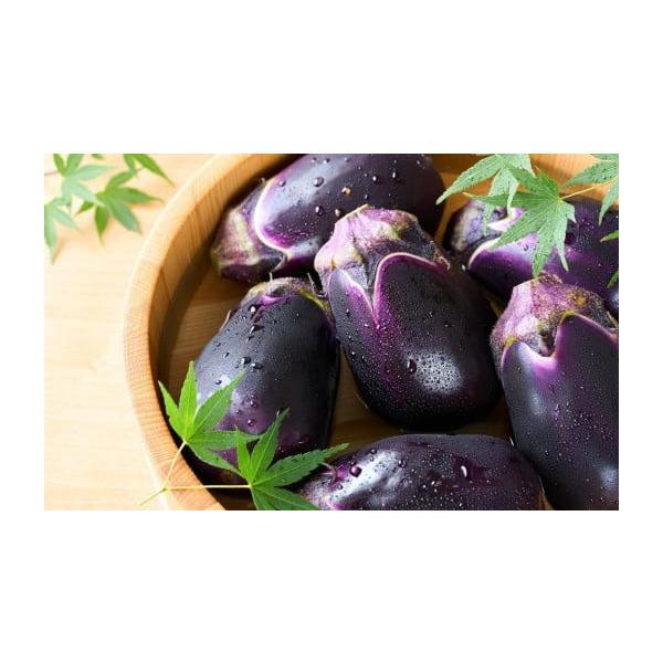 容量大阪泉州名産水ナス【生】10個入り消費期限採りたての新鮮なものを発送いたしますので、到着後はなるべく早くお召し上がりください。【保存方法】到着後は箱から出し、濡らしたキッチンペーパーや新聞などで包み、冷暗所で保管してください。発送期日2...