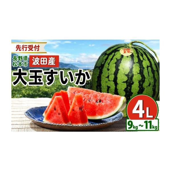 容量4L（9kg〜11kg)消費期限発送日より1週間発送期日2026年7月中旬から8月下旬頃まで発送予定配送常温 別送申込期日2026年8月中旬頃まで受付しております。（条件数に達した場合は予告なく終了いたします。）事業者宮越農園申込条件何...