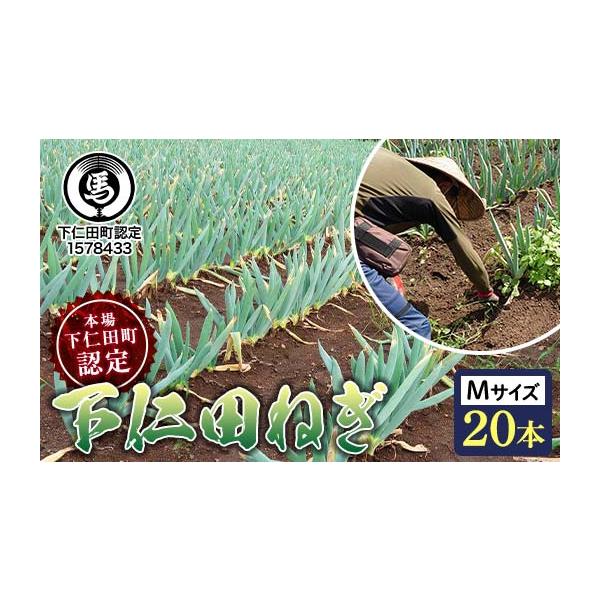 容量下仁田ねぎ Mサイズ 20本発送期日2025年12月1日〜2026年1月15日配送常温 時間指定 別送申込期日2025年8月1日〜12月31日までオンライン決済以外の支払方法を選択された場合は、12月31日までにお支払い手続きをお済ませ...