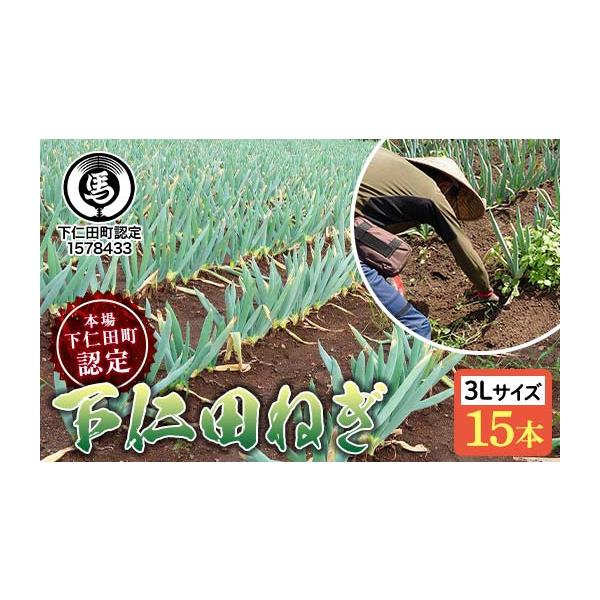 容量下仁田ねぎ 3Lサイズ 15本発送期日2025年12月1日〜2026年1月15日配送常温 時間指定 別送申込期日2025年8月1日〜12月31日までオンライン決済以外の支払方法を選択された場合は、12月31日までにお支払い手続きをお済ま...